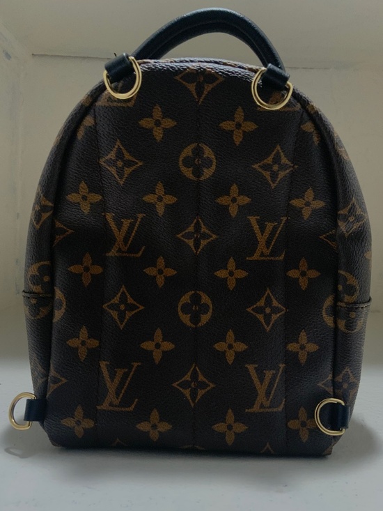 Louis Vuitton Palm Springs Mini Backpack main image 5